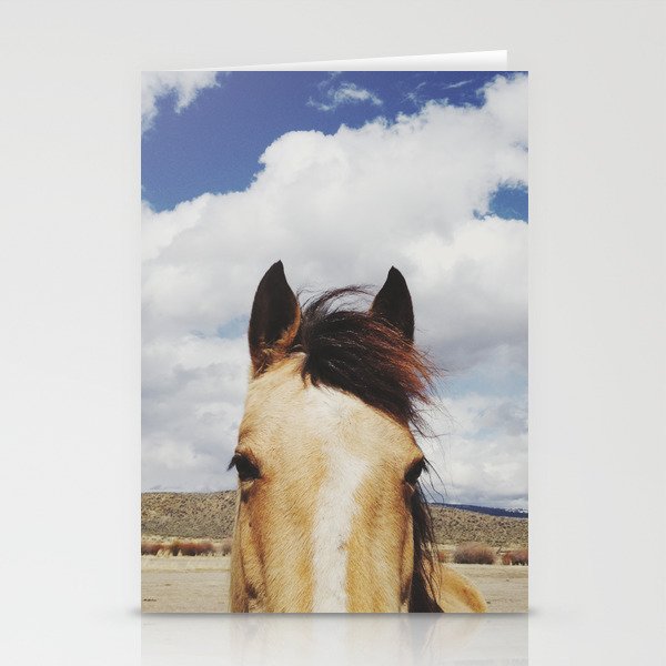 Cloudy Horse Head Stationery Cards