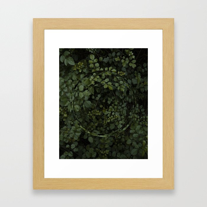 Tranquil Botanics (v.I) Framed Art Print