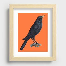Vintage Raven Recessed Framed Print