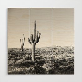 DESERT II / Phoenix, Arizona Wood Wall Art