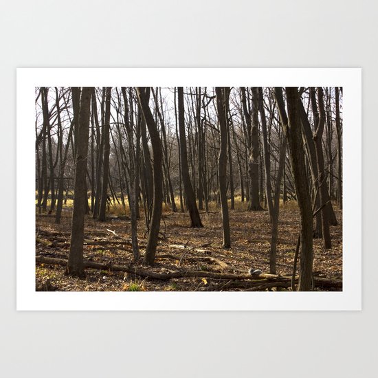 Forest Through the Trees Art Print