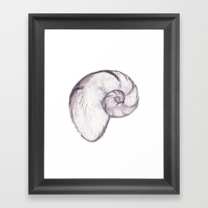 Nautilus Sketch Framed Art Print
