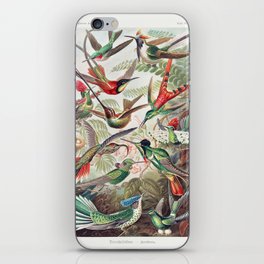 Bird 001 iPhone Skin