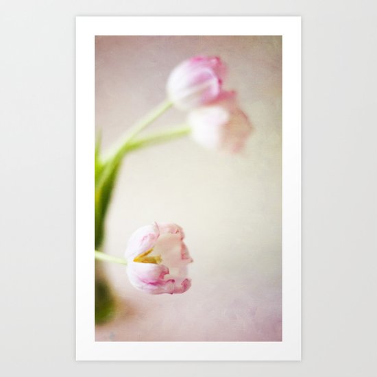 Lone Tulip Art Print