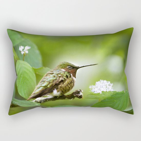 Hummingbird Sitting Rectangular Pillow