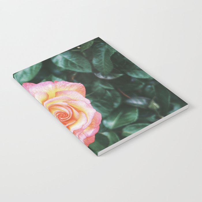 Lonely Rose Notebook