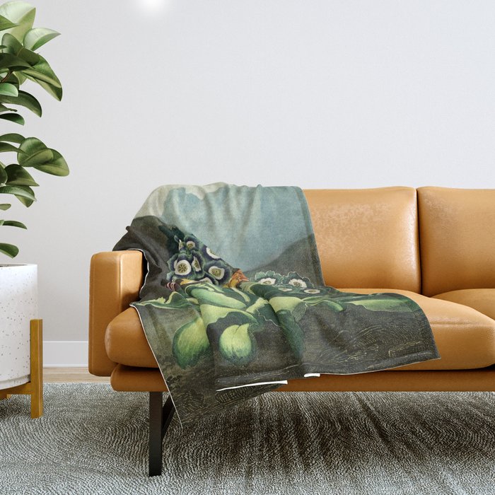 Group of Auriculas :  Temple of Flora Throw Blanket