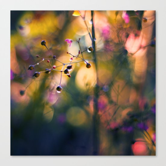 The Rainbow Forest II Canvas Print