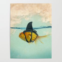 Brilliant DISGUISE - Goldfish with a Shark Fin Poster