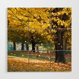 Autumn Maple Tree Scenic Nature Photography Yellow Forest Fall Foliage Leaves Wood Wall Art