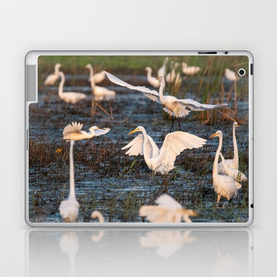 White Egret landing in a marsh filled with other egrets Laptop & iPad Skin