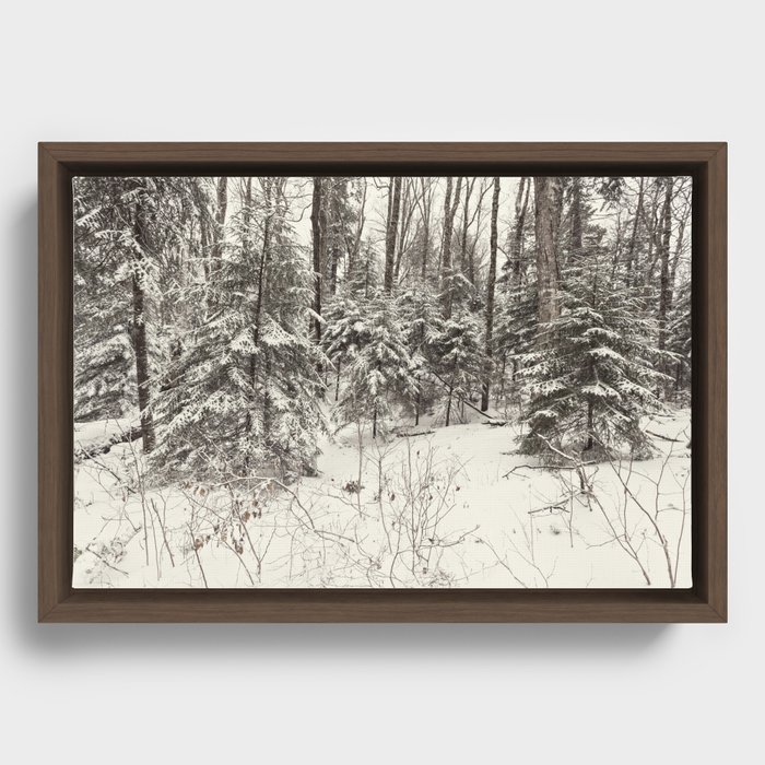 winter trees Framed Canvas