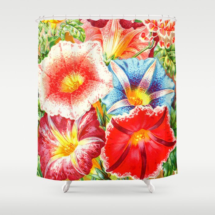 Colorful Japanese Morning Glory Flowers Shower Curtain