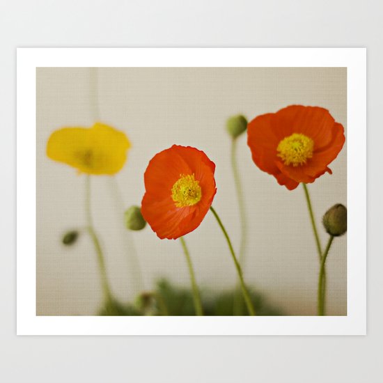 Orange Poppy Bloom Red Green Yellow Flower Art Print