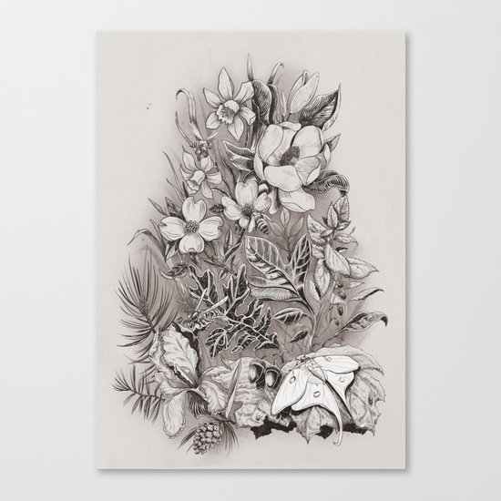 Sunny day Canvas Print
