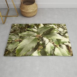 Glossy Green Holly Leaves in Retro Rug