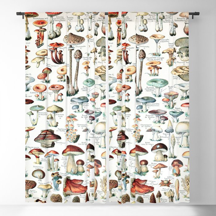 Adolphe Millot - Champignons pour tous - vintage poster Blackout Curtain