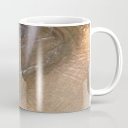 elefant taking a shower Coffee Mug