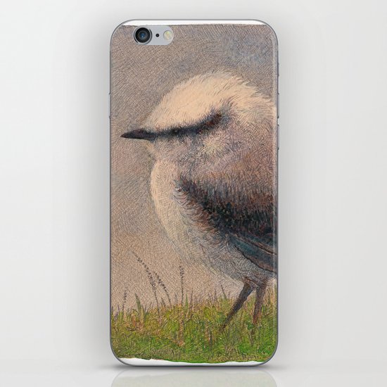 Nuthatch iPhone & iPod Skin