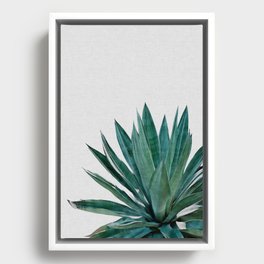 Agave Cactus Framed Canvas