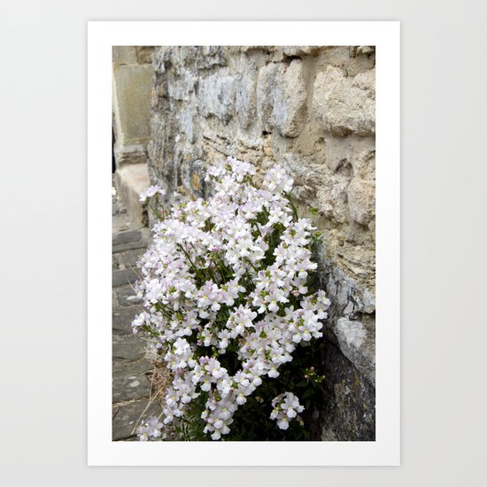 English Garden - Flowers from Stone Art Print