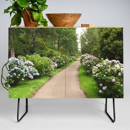 Great Britain Photography - Beautiful Trail Going Through The Park Credenza