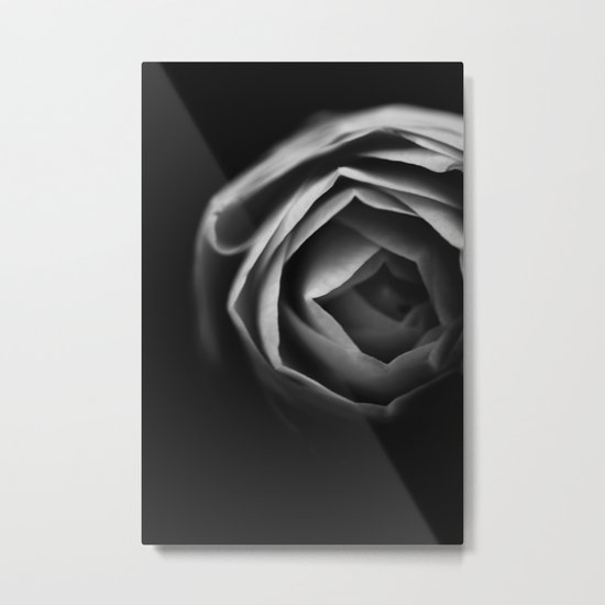 Pfingstrose Metal Print