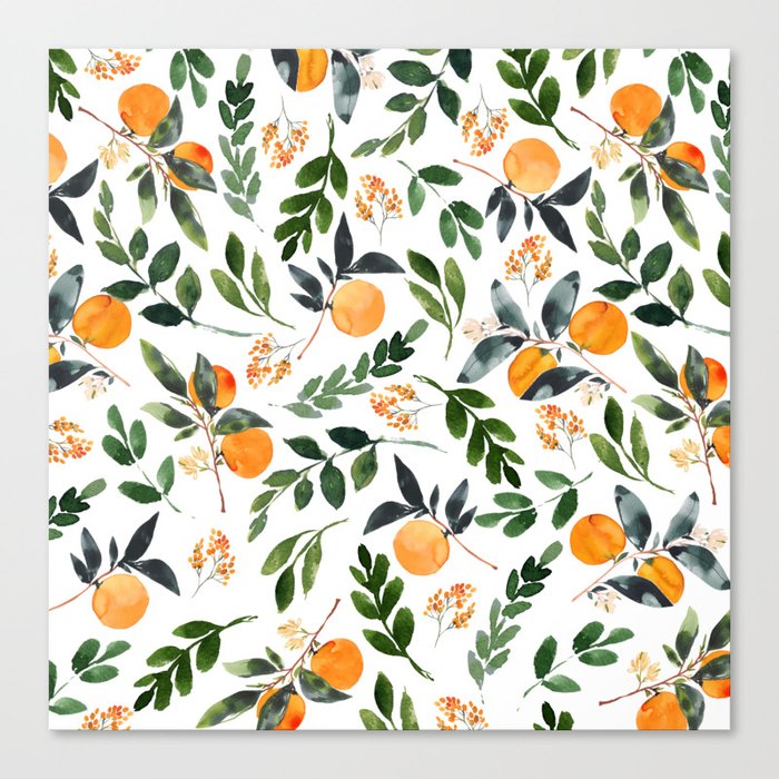 Orange Grove Canvas Print