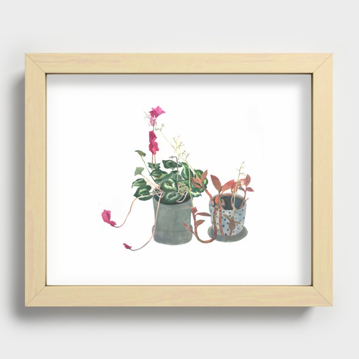 plants in the pots Recessed Framed Print