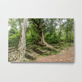 Strangler Fig Trees and Stones in the Angkor Archaeological Park, Siem Reap, Cambodia Metal Print | Photo, Landscape, Digital, Nature 