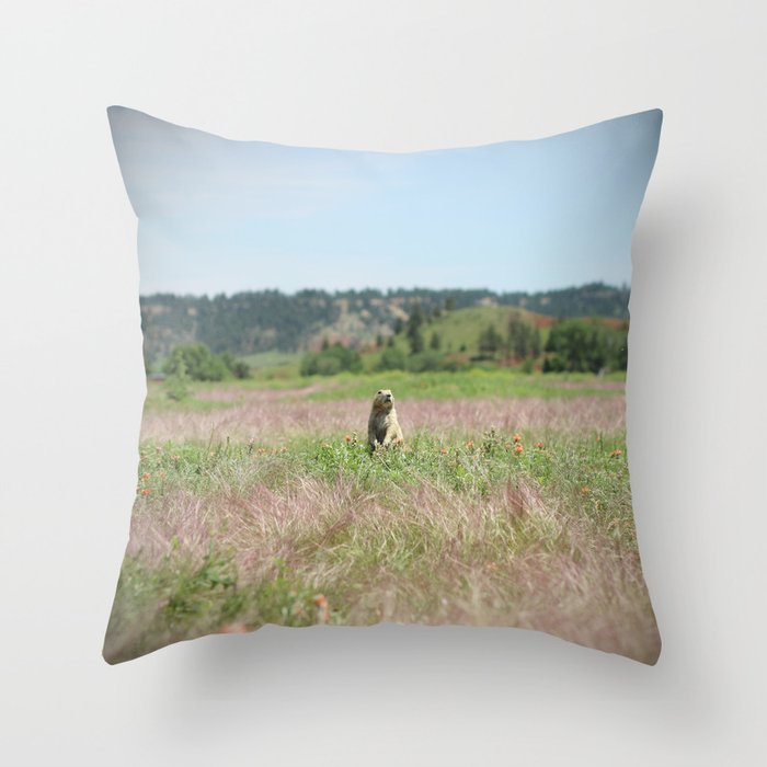 Hey There Throw Pillow