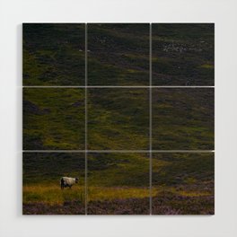 Lonesome Scottish Sheep Wood Wall Art