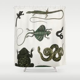 Collection of Various Reptiles  Shower Curtain