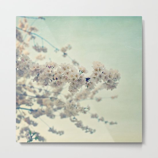 Pear Blossoms Metal Print