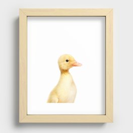 Duckling, Farm Animals, Art for Kids, Baby Animals Art Print By Synplus Recessed Framed Print