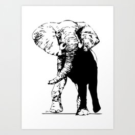 Elephant - M Art Print