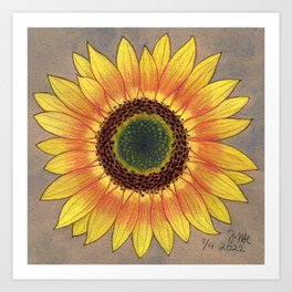 sunflower 5 Art Print