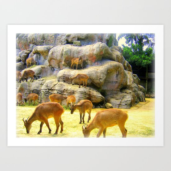 Goats Art Print