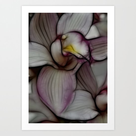 Orchid Art Print