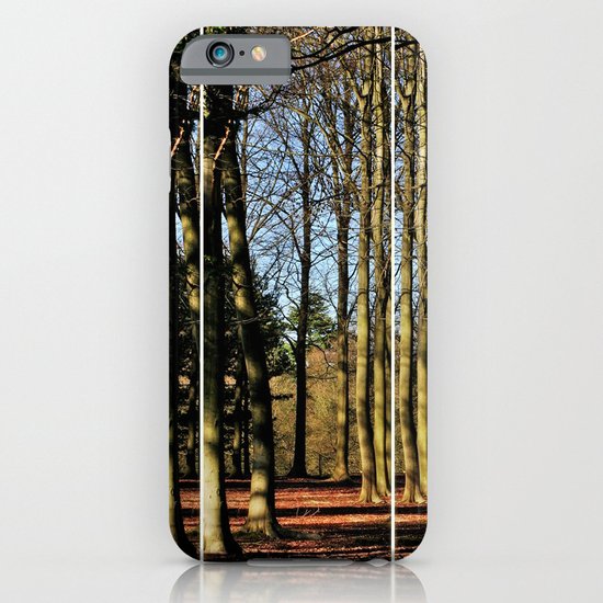 Into the woods iPhone & iPod Case