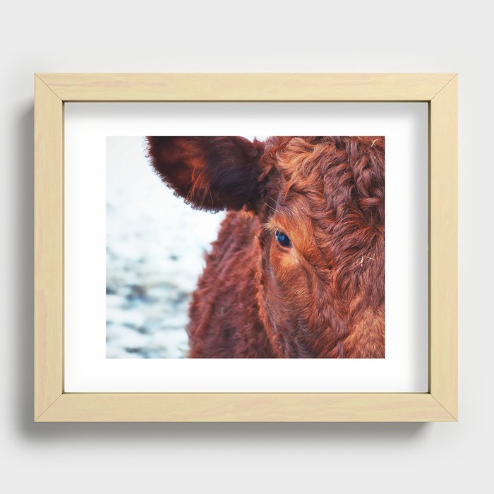 Cattle Print Recessed Framed Print