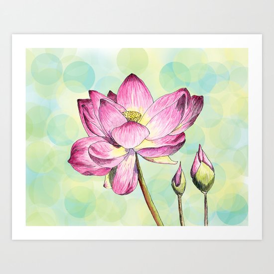 Lotus Bloom Art Print