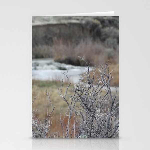 Cottonwood Creek Stationery Cards