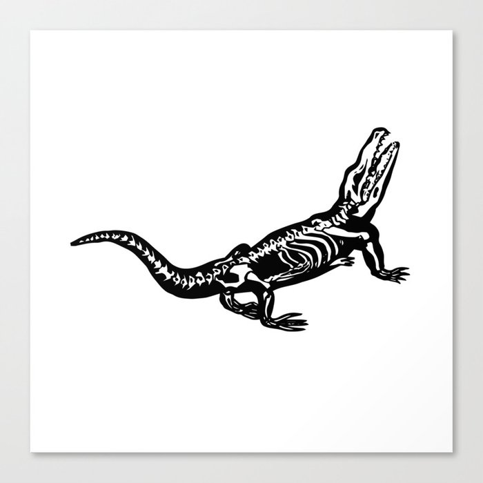 x-ray gator Canvas Print