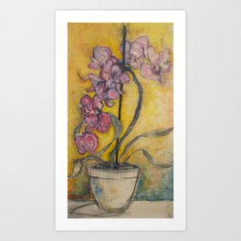 Potted Plant III Orchids Art Print