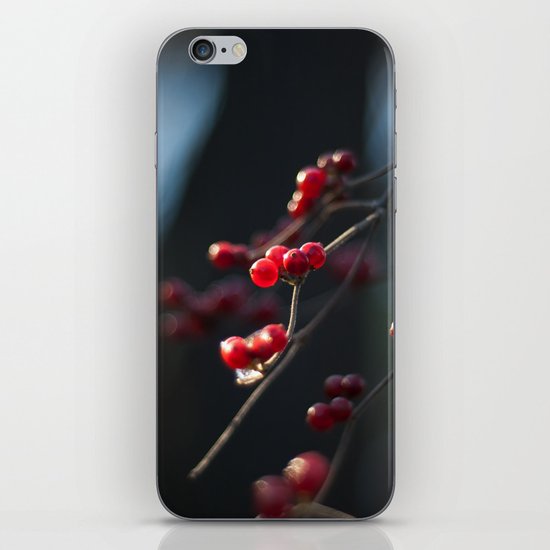 Winter Berries II iPhone & iPod Skin