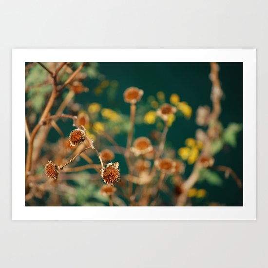 Flor 2 Art Print