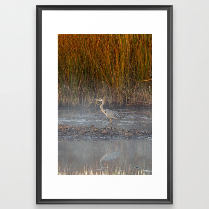 Great Blue Heron Framed Art Print