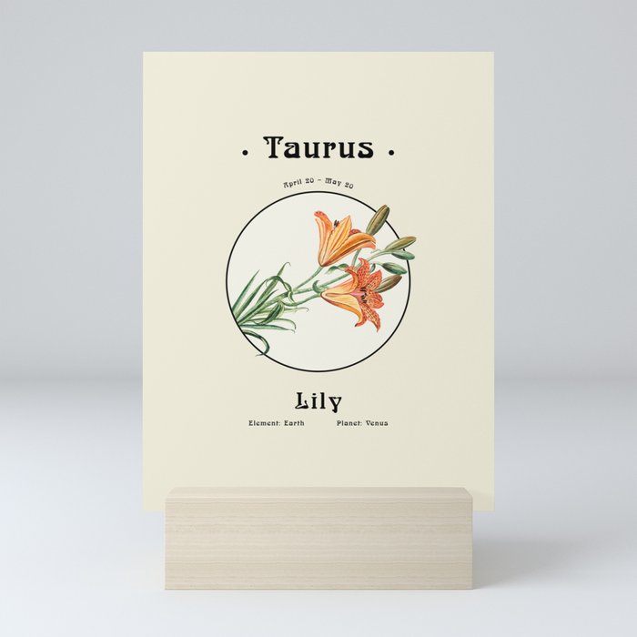Taurus & Lily - Flowers of the Zodiac Mini Art Print