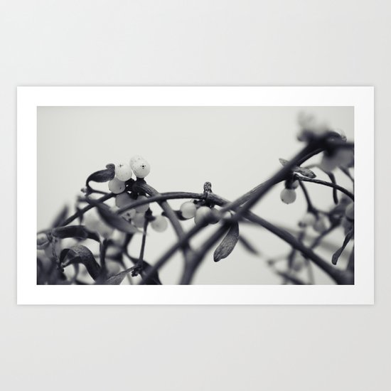 mistletoe... Art Print